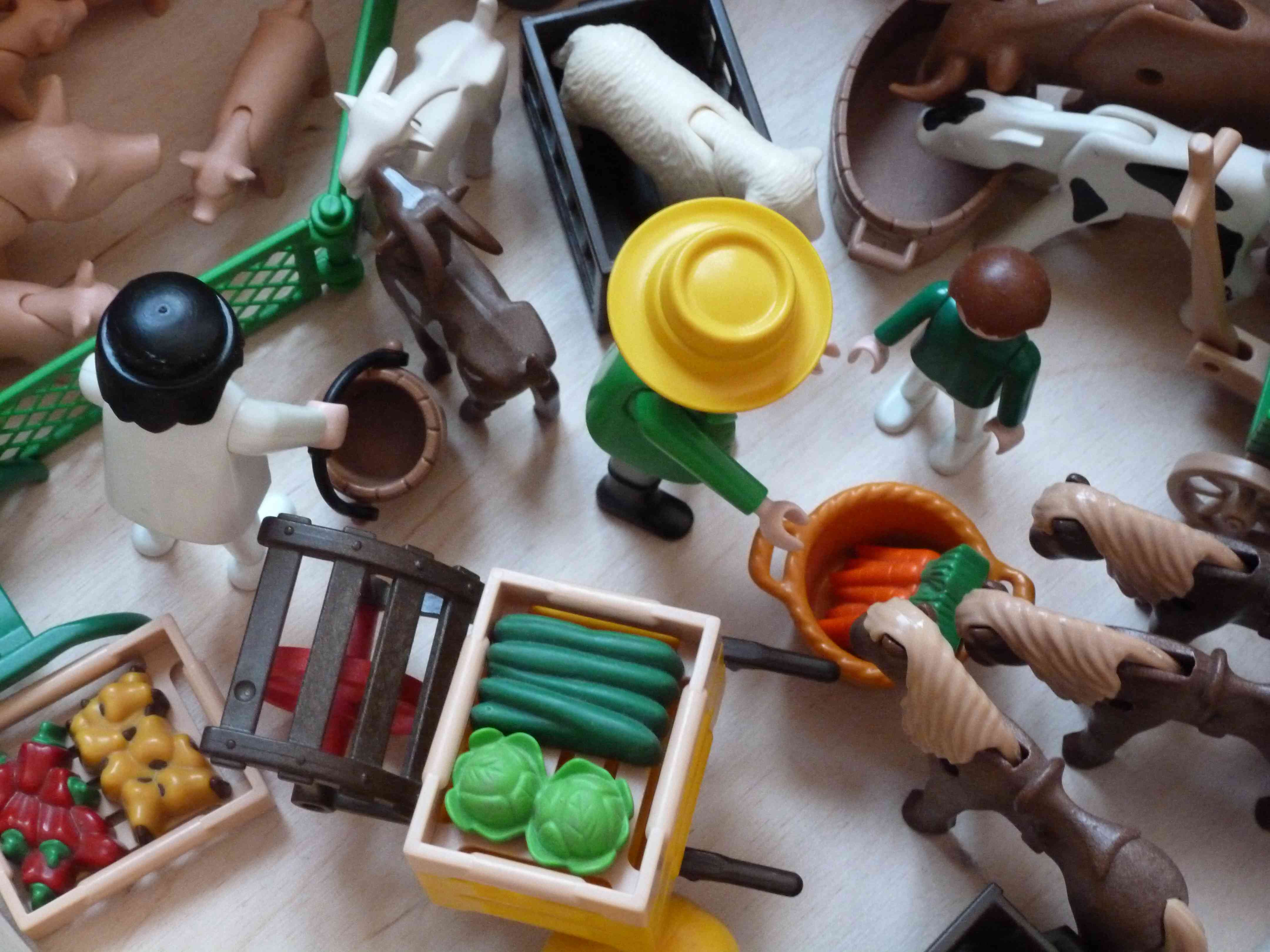 Boite de rangement Playmobil : Organisez le rangement de jouets !